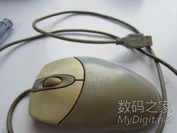 數(shù)字產(chǎn)品技術(shù)交流網(wǎng)站 推動(dòng)創(chuàng)新與協(xié)作的橋梁